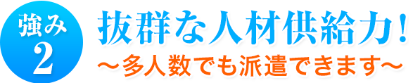 強み2 抜群な人材供給力!~多人数でも派遣できます~